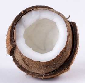 Mai viccünk: két bolond beszélget...