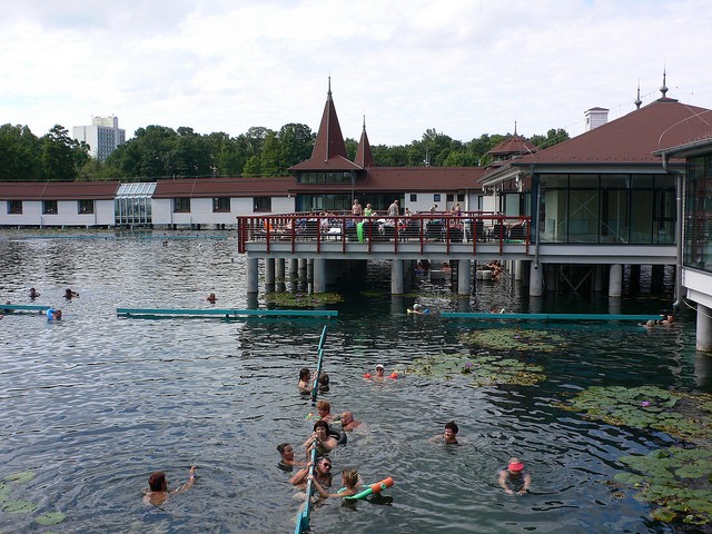 A belga király Lovagkeresztes Érdemrendje