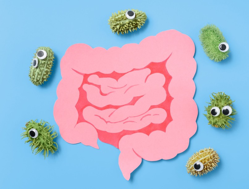 vegyszerek tönkreteszik beleket