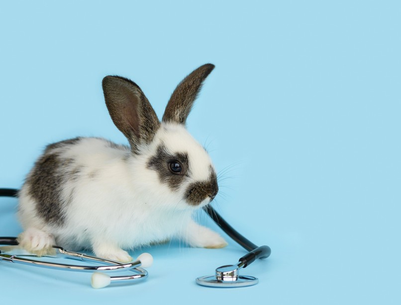 mentők, közúti baleset, gyerekek