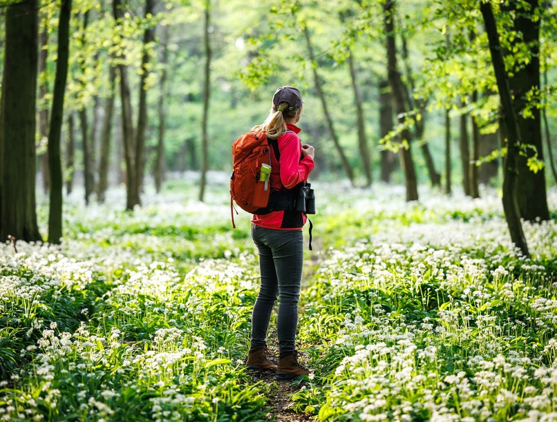 szorongás, depresszió ellen erdei séta