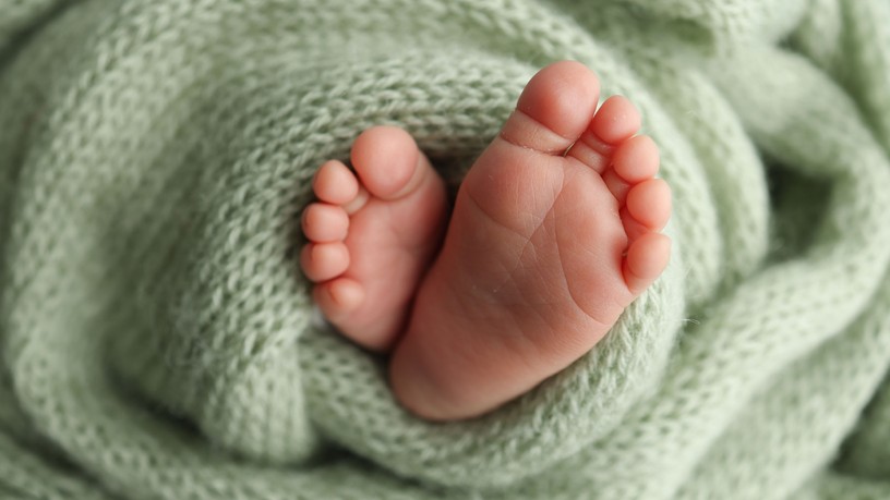 hírek IVF lombik hiba másik embrió