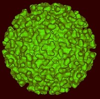 Szintén messze van, de szintén fontos: Dengue-láz tarol Kínában