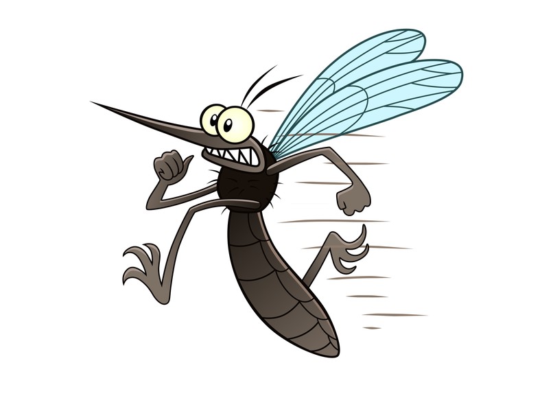 szúnyogrisztó, természetes szúnyogriszató, szónyogriasztó módszer, szúnyogcsapda, ventilátor