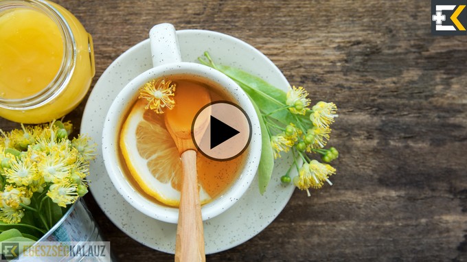 Mire jó a hársfavirág és hogyan érdemes gyűjteni? A gyógynövényszakértő elmondja című cikk nyitóképe