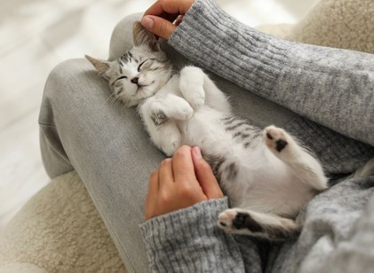 Végre a tudomány is egyértelm��en kimondja: igen, a háziállatok boldogabbá tesznek minket című cikk nyitóképe