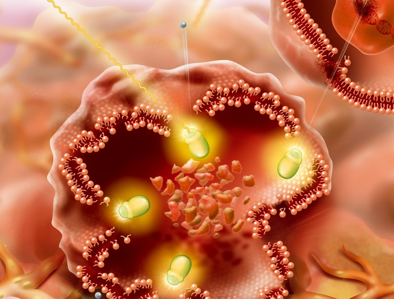 Hasnyálmirigyrák tumor esélye kockázat dohányzás