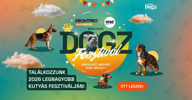 Május 1-jén újra DOGZ Fesztivál: egészség, tudatosság és közösségi élmény a Városligetben