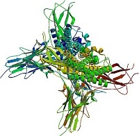 Újdonság a terápiában: biológiai és biohasonló gyógyszerek