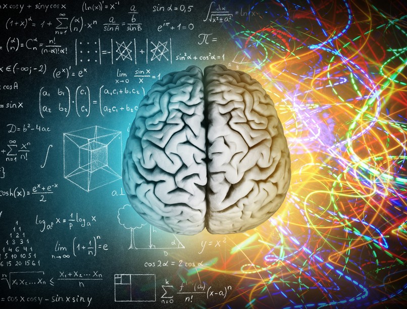 tanulás alkalmazkodás agy kutatás