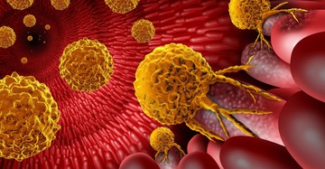 Így rejtőznek el a rákos sejtek az immunrendszerünk elől