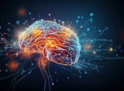 Egy friss kutatás szerint az emberi agy öt jól elkülöníthető korszakon megy át élete során című cikk nyitóképe