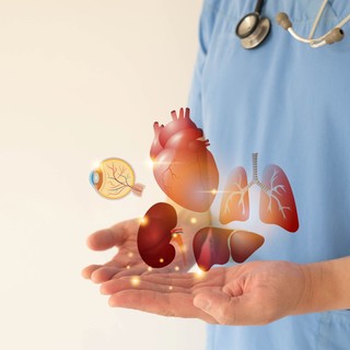 Megfiatalodhat egy idős szív? Ezt találták, amikor fiatalabb testbe ültették című cikk nyitóképe