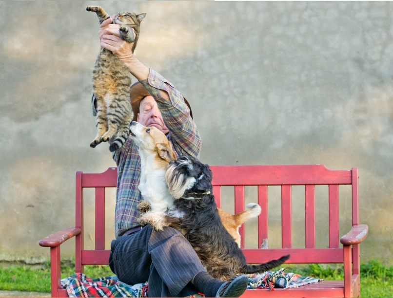 kutya macska harc ellen mit kell tenni