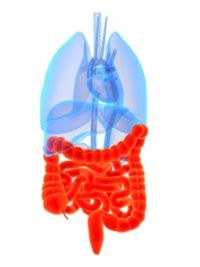 Gyomor- és bélhurut gyermekkorban