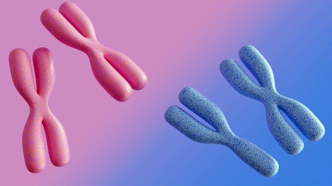 Egy matematikus szerint ettől függ az, hogy lány vagy fiú gyermeke lesz című cikk nyitóképe