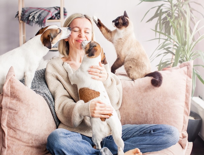 kisállatok, egészség, ölelgetés