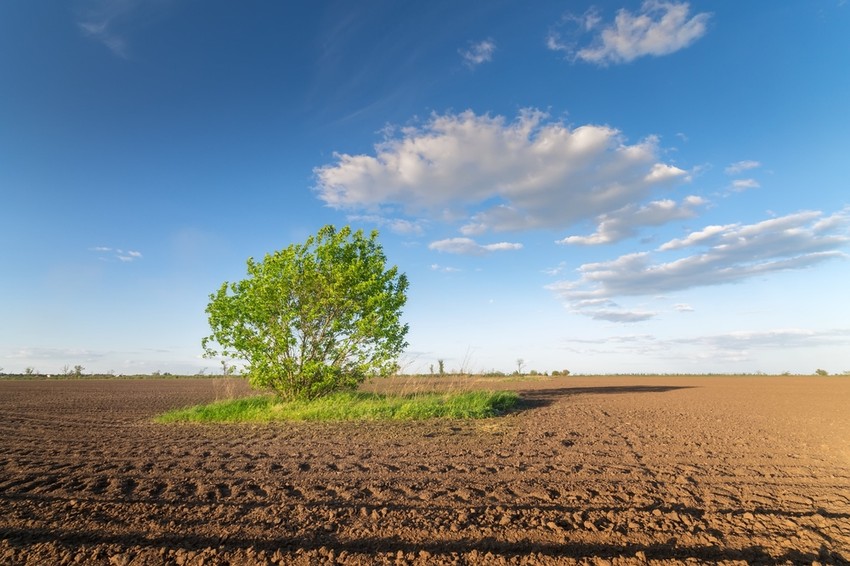Már a talajban sincs elég szelén