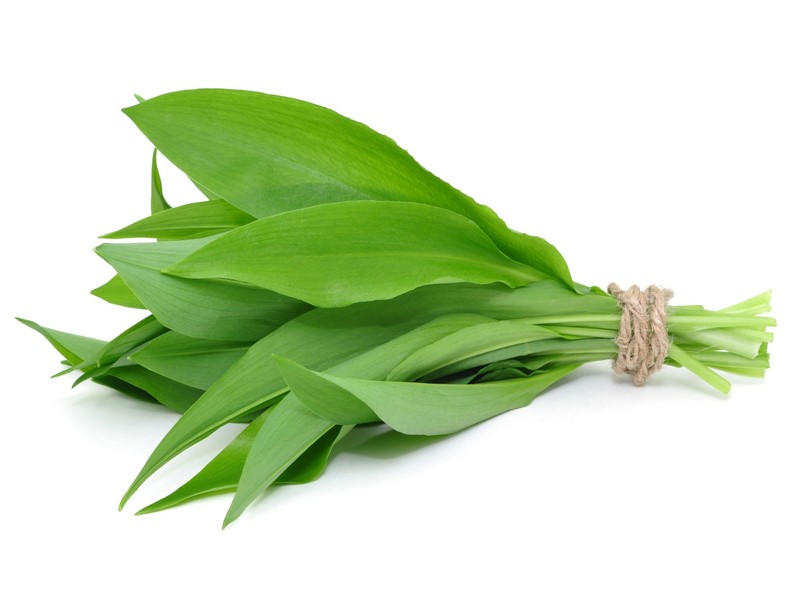 színes medvehagyma hatásai egészség