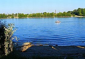 Római-part: kórokozók az árvíz után!