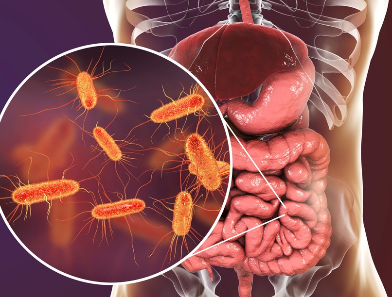 rákkutatások tüdőrák bél mikrobiom