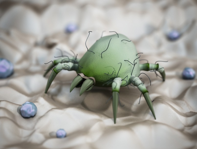 poratka, tüsszögés, orrfolyás, allergia