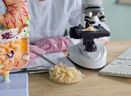 Hogyan változtathatja meg a cukor elhagyása a bélmikrobiomot? Nem lett jó vége, drámai eredmények születtek! című cikk nyitóképe