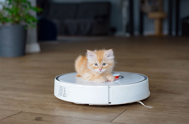 Megdöbbentő mennyiségű atka ürüléket lélegzünk be naponta