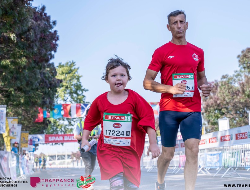 szervdonáció, szervadományozás, élet szervátültetés hírek Magyar Szervátültetettek Szövetsége