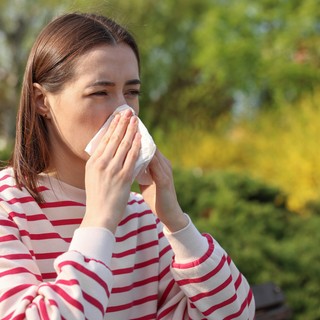 A pollenek erősebben allergizálnak, mint valaha – mit tehet ellene, ha nem akar egész nyáron szenvedni? című cikk nyitóképe