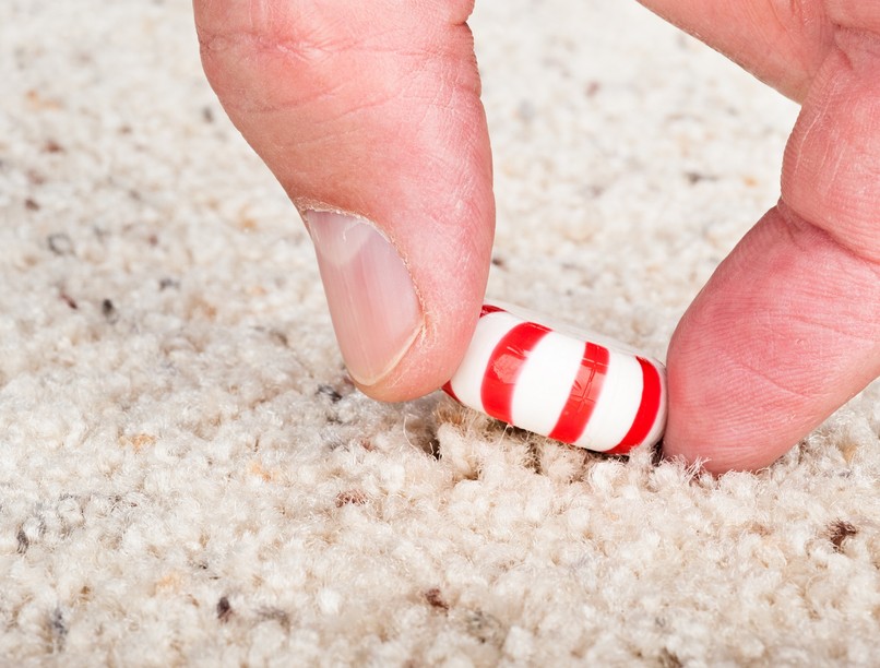 földre esett étel másodperc szabály