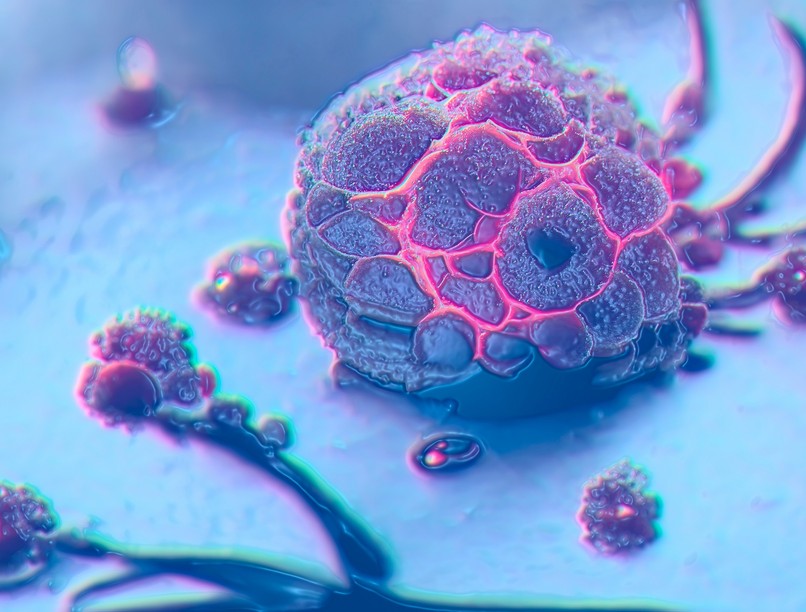 daganatos betegségek stressz