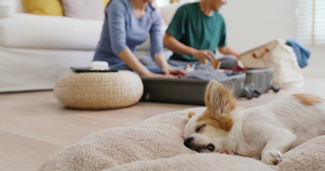 Három ok, amiért egyre több magyar keresné a gyógyulást külföldön