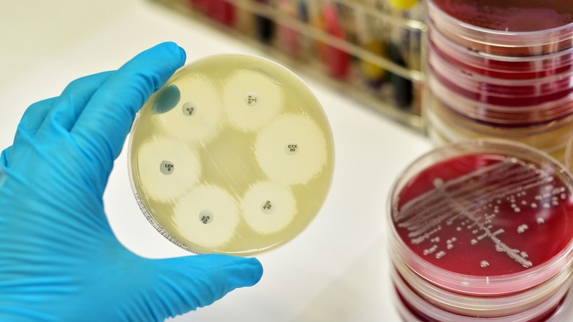antibiotikum, rezisztencia, fertőzés, gyógyszer, allergia, koronavírus