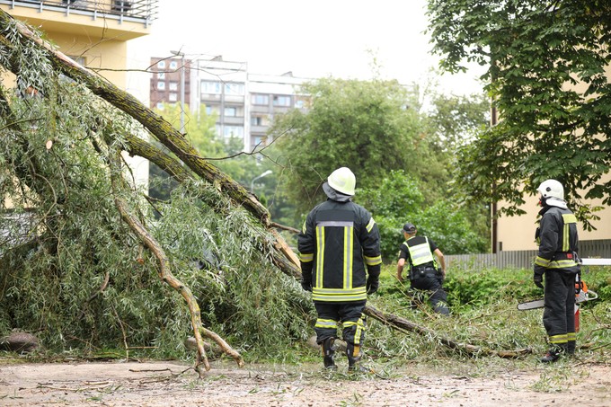 Megállás nélkül dolgoznak a tűzoltók a tegnapi vihar okozta károk miatt című cikk nyitóképe