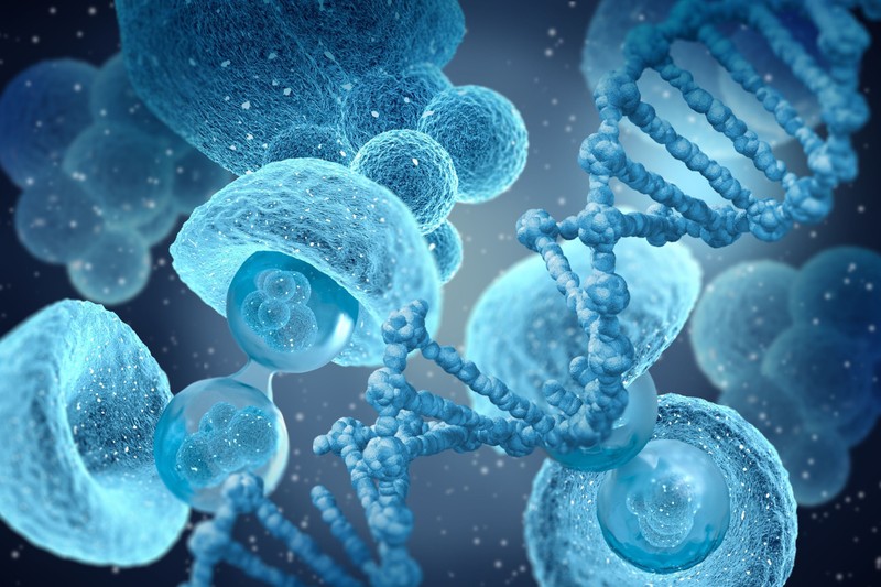 Mi fán terem az őssejtterápia? Ezeknél a betegségeknél használják jelenleg