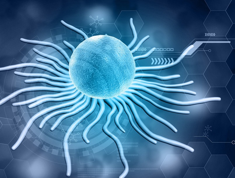 rövid edzések rákkezelés hatékonyság