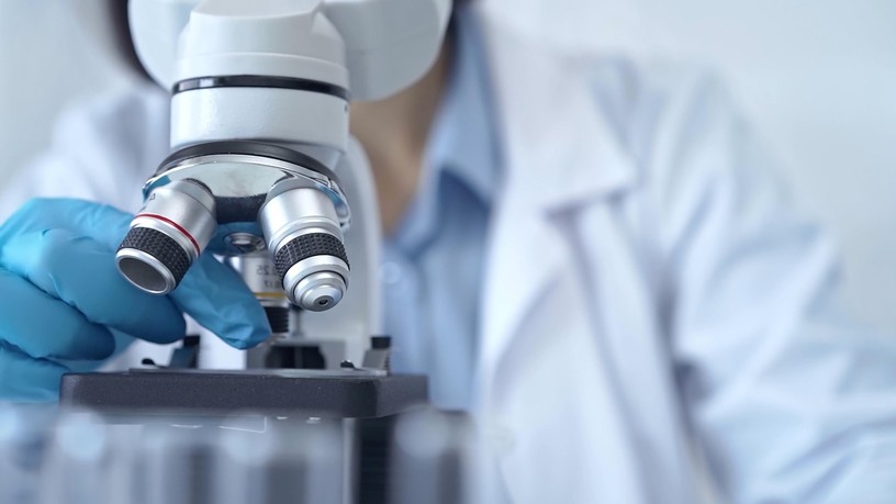 Antibiotikum-rezisztencia gén biogáz HUN-REN SZBK hírek