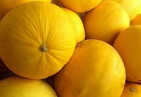 Halált okozó sárgadinnye - az USÁ-ban