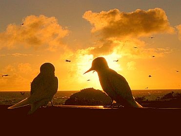 Nyílt nap a lelki egészséggel foglalkozók számára