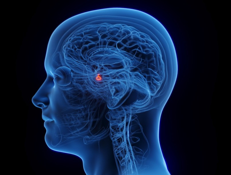 Agyalapi mirigy hormonzavar tünetei