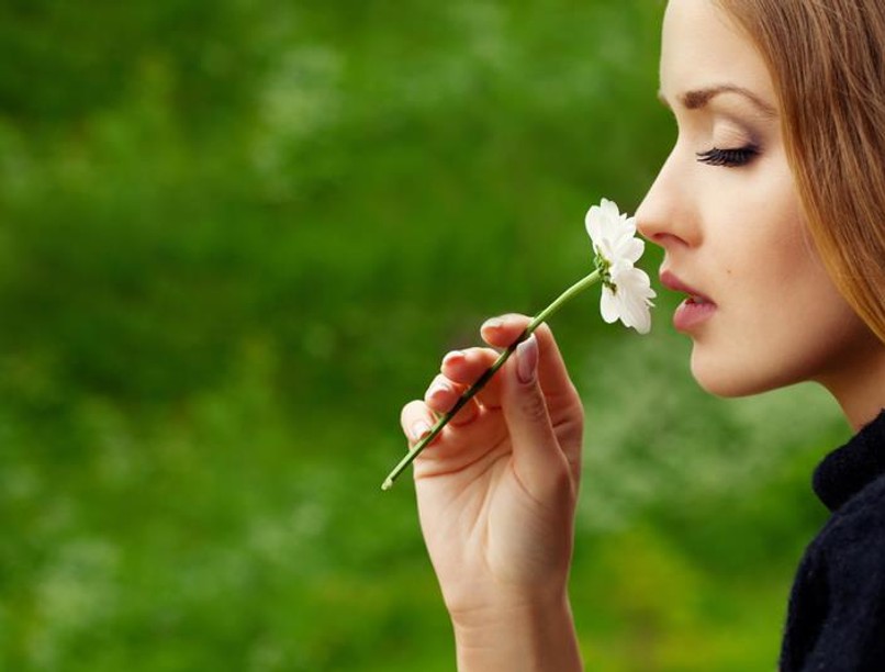 shutterstock_56188594_wm800