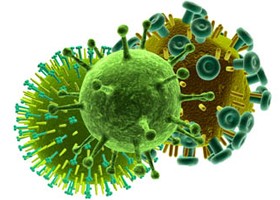 Ismét felszínen a madárinfluenza?