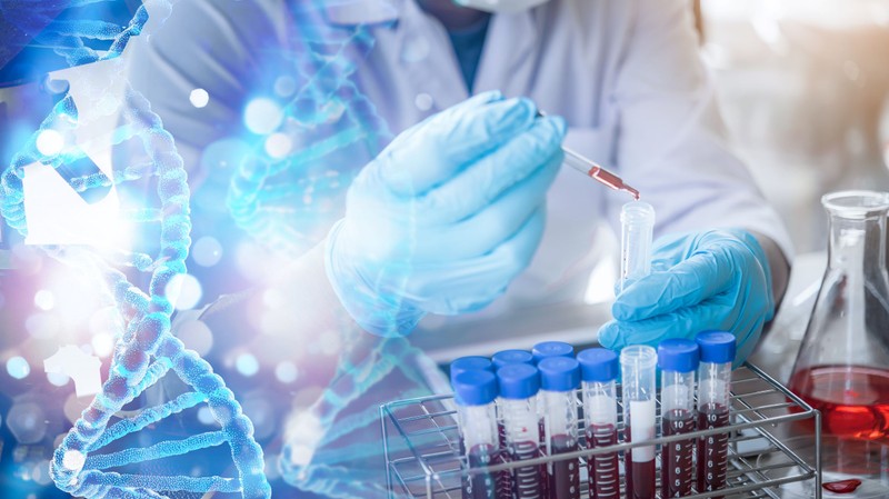 Új távlatok a rákkutatásban – magyar kutatók új korszakot nyitnak a génszabályozásban