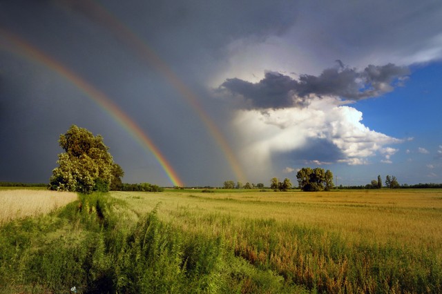 Érzékeny a melegfrontra, megviseli a hidegfront? Így enyhítheti a panaszait!