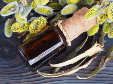 Fűzfakéregből készült aszpirin – házilag?