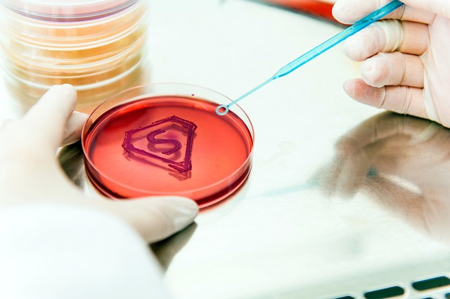 Új magyar hatóanyagok születtek: a szuperbaktériumok és a Covid ellen is hatékonyak lehetnek