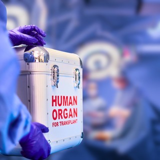 Valóban megkaphatjuk szervátültetés esetén a donor emlékeit? Meglepheti a válasz! című cikk nyitóképe