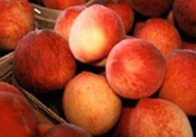 Élet (és étel) a vastagbélműtét után...