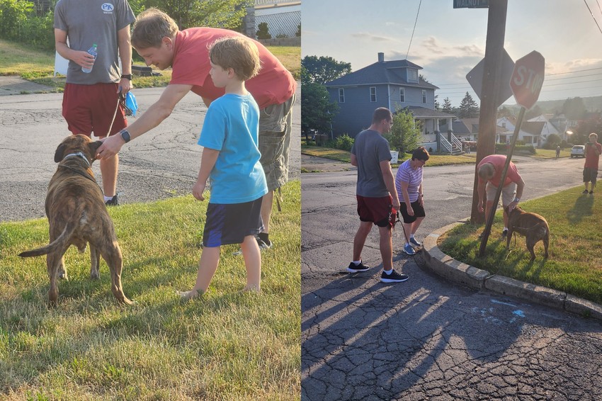 A kutya nagyon gyengéden viselkedett mindenkivel, mint aki tudja, hogy ez az ő nagy napja” - idézte fel a gazdája.